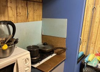 Продается 1-комнатная квартира, 18.8 м2, Воронеж, Никитинская улица, 46