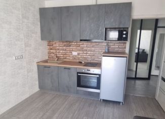 Сдается 2-ком. квартира, 40 м2, Сочи, улица Гастелло, 27Бк1