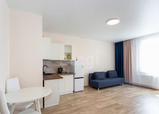 Сдаю в аренду квартиру студию, 30.8 м2, Новосибирск, улица Бородина, 54