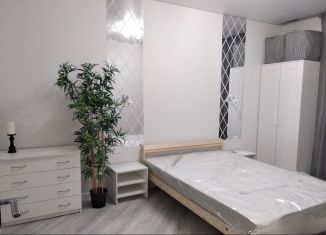 Сдам в аренду однокомнатную квартиру, 40 м2, Ростов-на-Дону, переулок Крючкова, 1/20