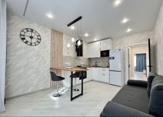 Сдача в аренду 1-комнатной квартиры, 45 м2, Казань, улица Сабира Ахтямова, 1к1