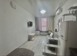 Квартира в аренду студия, 28 м2, Крым, улица Беспалова, 110