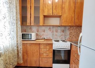 Сдается в аренду однокомнатная квартира, 31 м2, Шелехов, 1-й микрорайон, 47/6