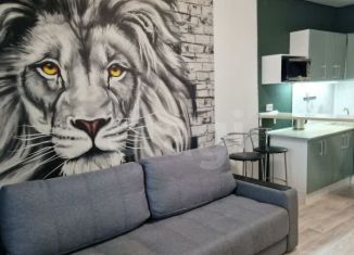 Сдам квартиру студию, 29 м2, Новосибирск, Красный проспект, 305, метро Заельцовская