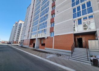 Продается квартира студия, 24.2 м2, село Чигири, улица Василенко, 5/2