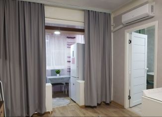 Сдается в аренду 2-ком. квартира, 42 м2, Сочи, улица Гагарина, 20