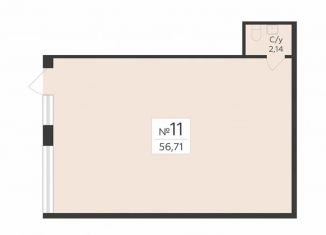 Помещение свободного назначения на продажу, 56.71 м2, Воронеж, улица Ломоносова, 114Ю, Центральный район