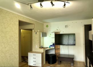 Продажа 2-ком. квартиры, 46.5 м2, Златоуст, улица имени А.С. Грибоедова, 18