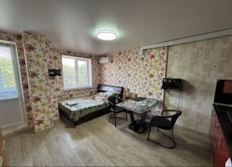 Сдача в аренду квартиры студии, 28 м2, Таганрог, улица Маршала Жукова, 1Е