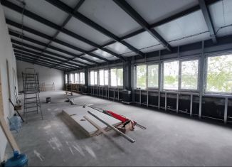 Сдается в аренду помещение свободного назначения, 126 м2, Санкт-Петербург, 1-й Верхний переулок, 2