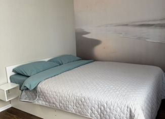 Сдаю двухкомнатную квартиру, 55 м2, Санкт-Петербург, улица Маршала Казакова, 21к3, Красносельский район