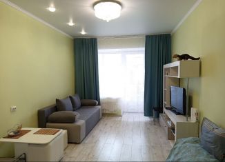 Продаю квартиру студию, 25.4 м2, Абакан, улица Некрасова, 45