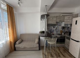 Сдается квартира студия, 30 м2, Сочи, улица Цюрупы, 34