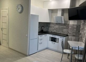 Сдача в аренду квартиры студии, 28 м2, Сочи, Крымская улица, 44А