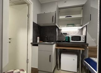 Аренда квартиры студии, 12 м2, Санкт-Петербург, Большая Подьяческая улица, 22