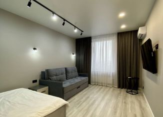 Сдается 1-ком. квартира, 43 м2, Казань, улица Мансура Хасанова, 13