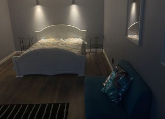 Аренда 1-ком. квартиры, 41 м2, Йошкар-Ола, улица Димитрова, 61, 5-й микрорайон