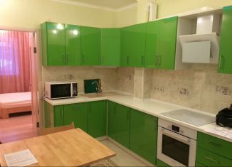 Аренда 2-комнатной квартиры, 60 м2, деревня Бородино, Варшавское шоссе, 72