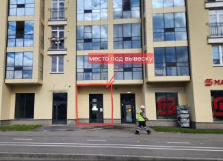 Сдача в аренду помещения свободного назначения, 32.5 м2, Санкт-Петербург, проспект Будённого, 24к5