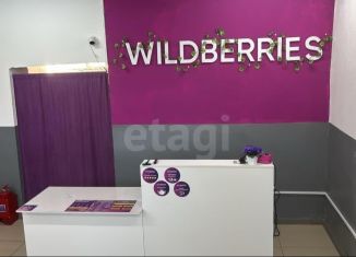 Продается торговая площадь, 90.7 м2, Биробиджан, Невская улица, 18А