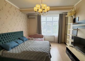 Сдача в аренду 1-ком. квартиры, 48 м2, Сочи, улица Плеханова, 25Б, микрорайон Мамайка