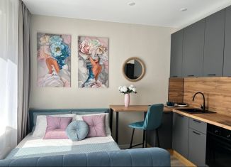 Сдам в аренду квартиру студию, 29 м2, Сочи, улица Искры, 88к6