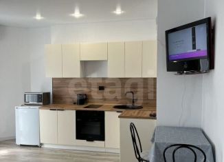 Сдача в аренду квартиры студии, 35 м2, Новосибирск, Дачная улица, 42, метро Заельцовская