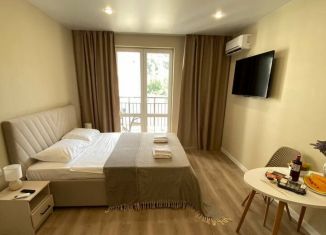 Сдача в аренду квартиры студии, 30 м2, Сочи, улица Искры