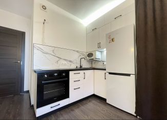 Продам квартиру студию, 25.8 м2, Санкт-Петербург, ЖК Солнечный Город, проспект Ветеранов, 183