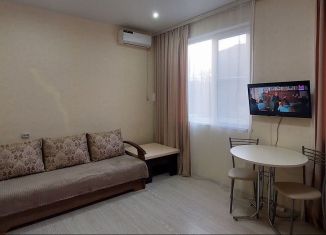 Аренда 1-ком. квартиры, 32.5 м2, Сочи, Виноградная улица, 214