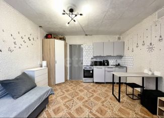 Продается квартира студия, 27 м2, Чита, улица Карла Маркса, 10