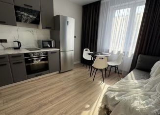 Сдам в аренду 1-комнатную квартиру, 41.6 м2, Краснодар, Ярославская улица, 115, микрорайон 9 километр