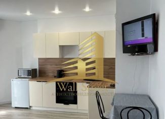 Сдам квартиру студию, 35 м2, Новосибирск, Дачная улица, 42, метро Заельцовская