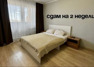 1-комнатная квартира в аренду, 29 м2, Бурятия, улица Трубачеева, 146АблокВ