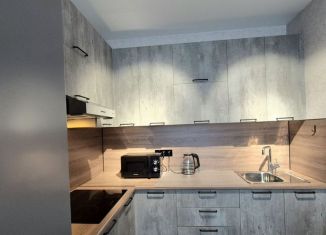 Сдам в аренду 1-ком. квартиру, 40 м2, Пенза, улица Шмидта, 3