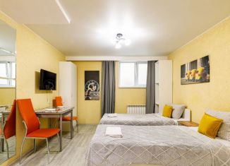 Сдается в аренду квартира студия, 21 м2, Санкт-Петербург, 4-я Советская улица, 8