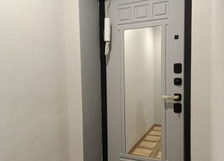 Продажа квартиры студии, 42 м2, Арзамас, улица Мира, 3к3