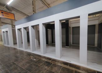 Сдача в аренду помещения свободного назначения, 48 м2, Республика Башкортостан, Кировоградская улица, 33