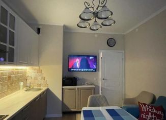 1-комнатная квартира в аренду, 39 м2, Санкт-Петербург, набережная Матисова канала, 3, Красносельский район