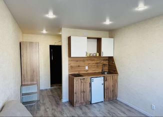 Продажа квартиры студии, 18.5 м2, Новгородская область, улица Ломоносова, 3к3