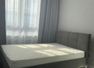 Аренда 1-ком. квартиры, 33.2 м2, Краснодарский край, улица Героя Пешкова, 14к1