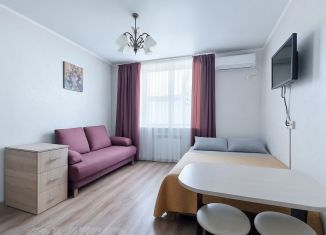 Продается квартира студия, 19.8 м2, Сочи, улица Чкалова, 32