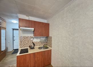 Сдам в аренду квартиру студию, 20 м2, Татарстан, улица Нурсултана Назарбаева, 56