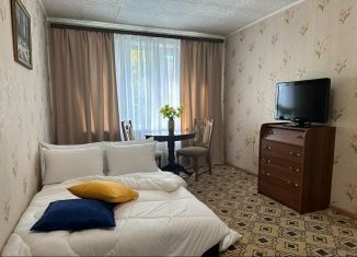 Сдается однокомнатная квартира, 45 м2, Москва, 15-я Парковая улица, 36/63к2