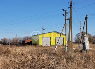 Продам помещение свободного назначения, 1369.2 м2, Татарстан, Центральная улица, 1