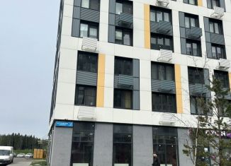 Продаю торговую площадь, 87 м2, Московская область, микрорайон Кутузовский, 3к1