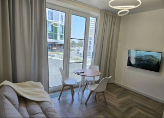 Аренда квартиры студии, 25 м2, Сочи, улица Ленина, 290/8к3