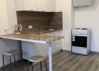 Продаю квартиру студию, 26.9 м2, Мурино, улица Шувалова, 42, ЖК Цвета радуги