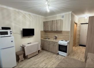 Сдам в аренду квартиру студию, 20 м2, Тюмень, улица Новосёлов, 113