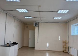 Сдаю помещение свободного назначения, 53.3 м2, Санкт-Петербург, Репищева улица, 10к2